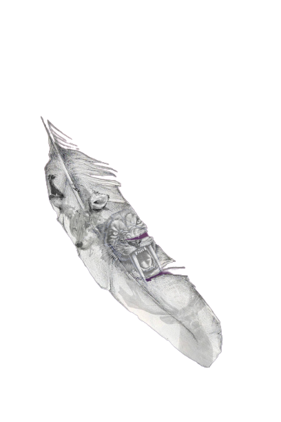 Eagle feather